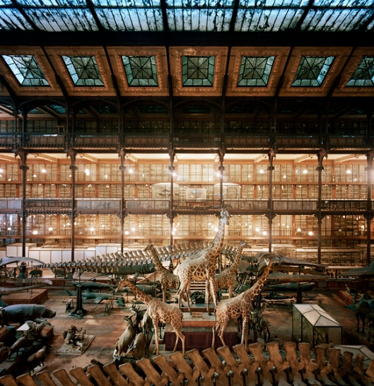 Overview, Paris Museum of Natural History